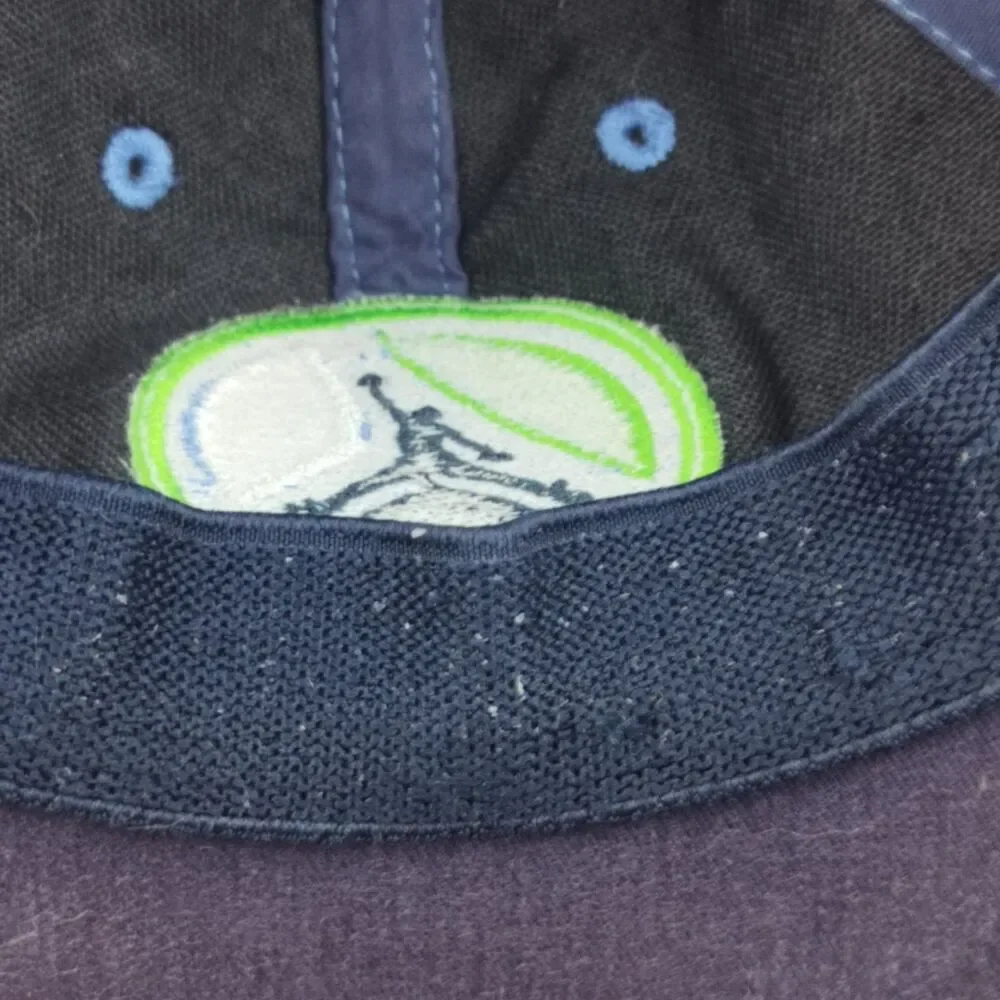 Jordan Jumpman Flight Hat Men's Light Blue Green Navy White Baseball Cap